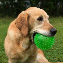 Piłka dla psa 12cm z kolcami TPR Spiky Ball-113506