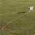 Smycz Linka treningowa dla psa 20m pomarańcz Heim -118485