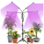 Lampa LED do wzrostu roślin statyw 4szt-140675